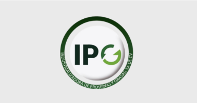Logo IPG